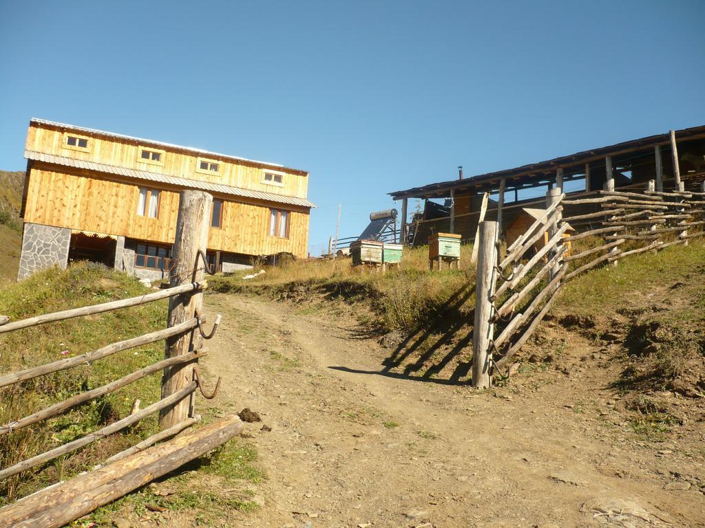 Guesthouse Javakhe Omalo Dış mekan fotoğraf