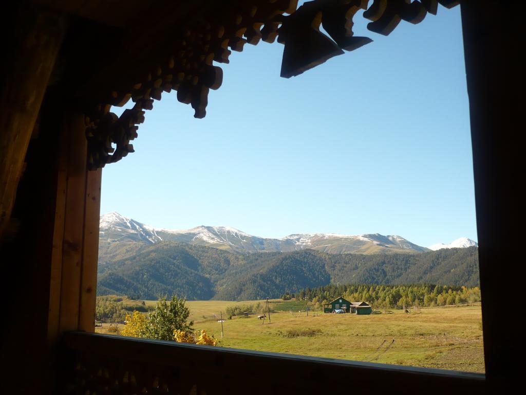 Guesthouse Javakhe Omalo Oda fotoğraf